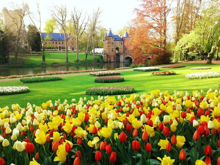 【福利*抢票】去布鲁塞尔国际花展（Floralia Brussels）赏花咯！