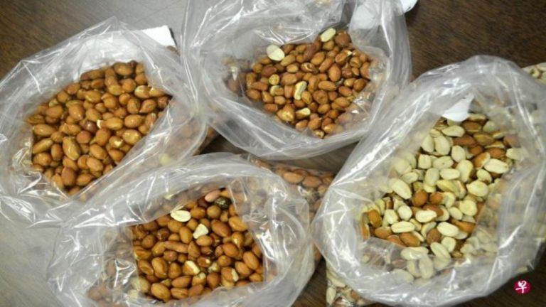 新研究：补充特定肠道细菌能治疗食物过敏